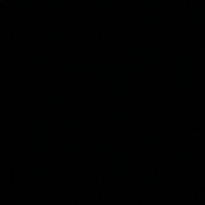 Meet your Posher, Abbie